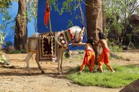 Sri Rama Rajyam Latest Photos